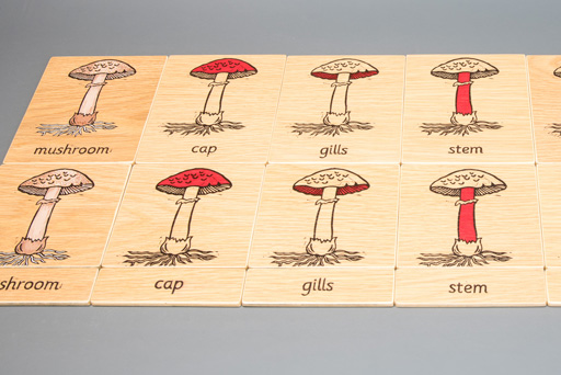 mushroom terminolgy layout
